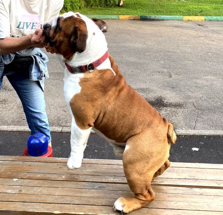 ���������� �������. ���������� �����