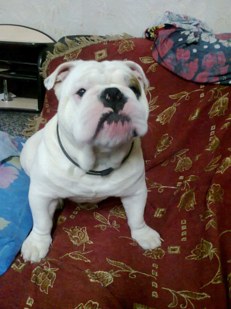 ���������� �������. ���������� �����