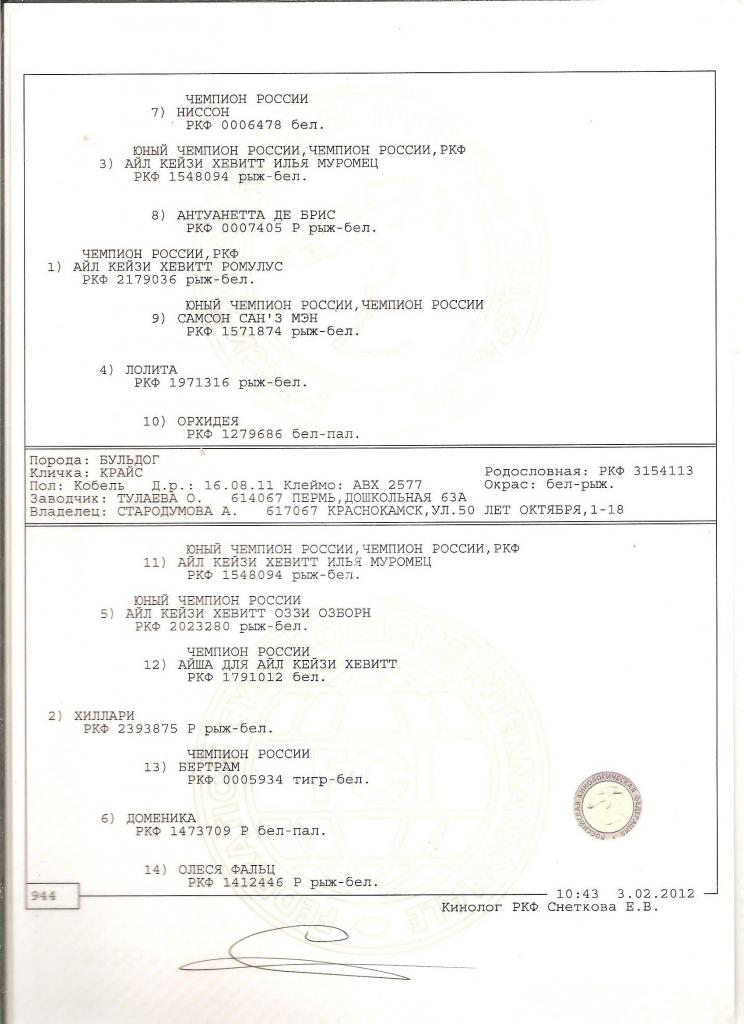 ���������� �������. ���������� �����