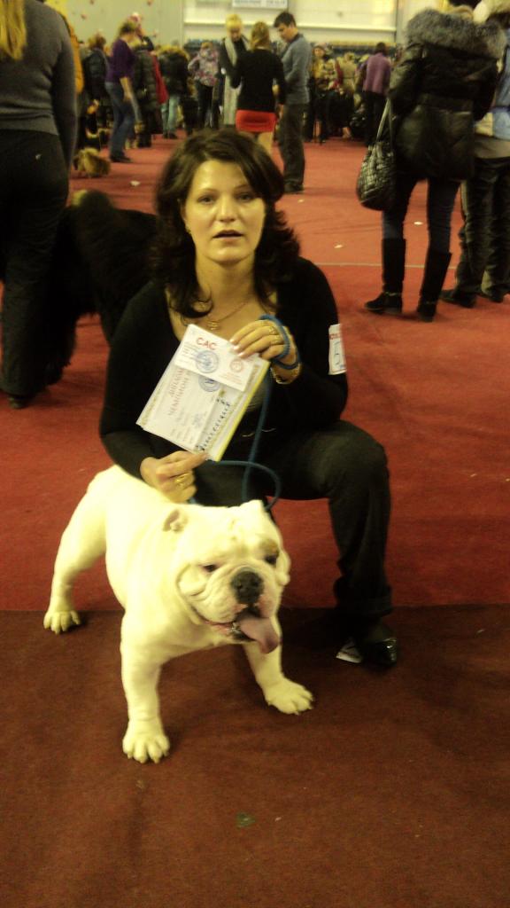 ���������� �������. ���������� �����