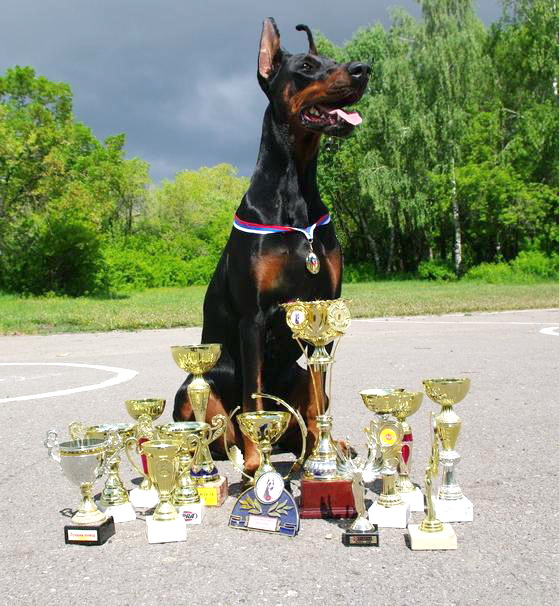 ��������. ���������� �����