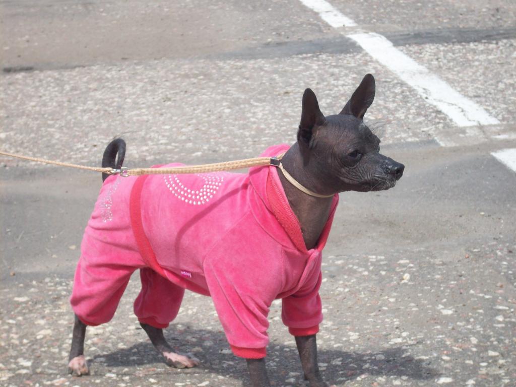 ������������ ����� �������. ���������� �����