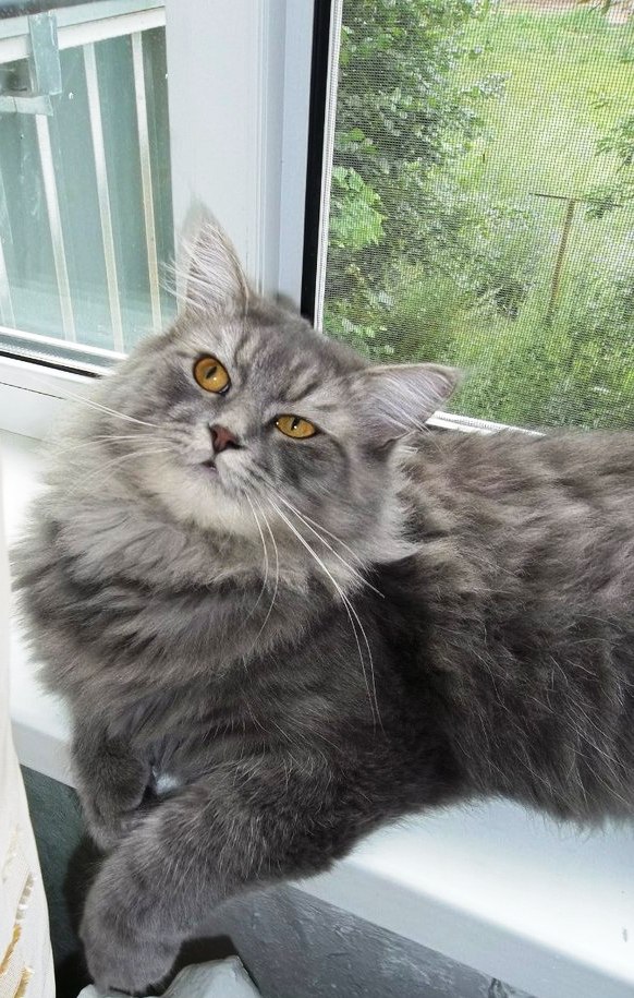 ���������� ��������������. ���������� �����