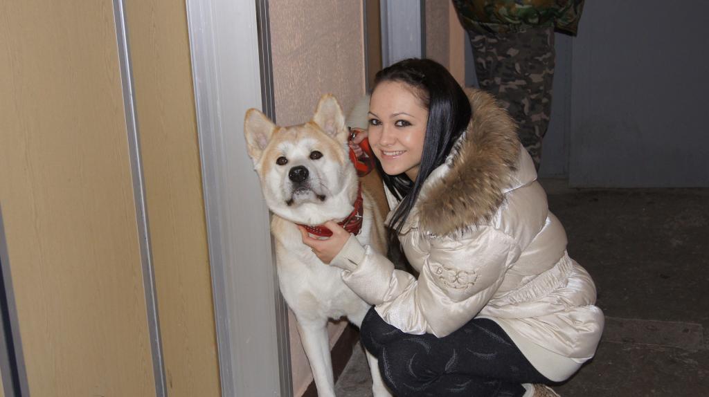 �����-���. ���������� �����