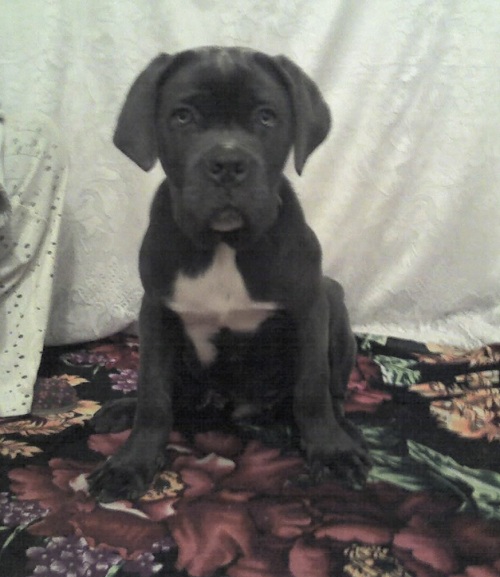 ���� �����. ���������� �����