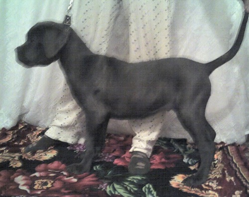 ���� �����. ���������� �����