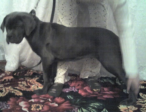 ���� �����. ���������� �����