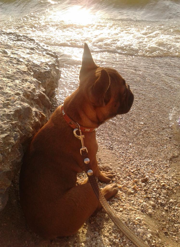 ����������� �������. ���������� �����