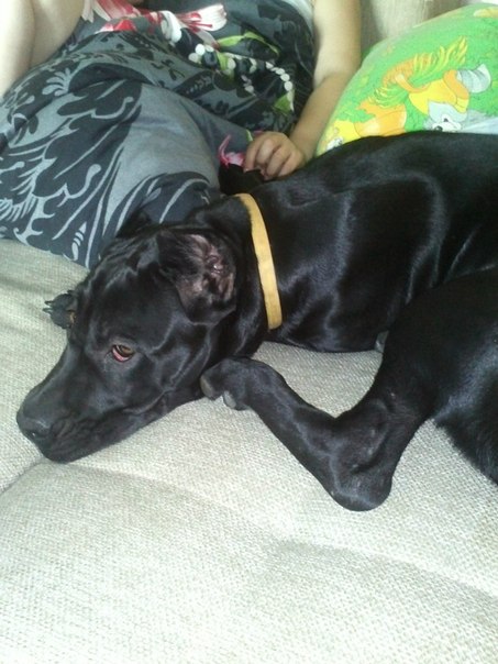 ���� �����. ���������� �����