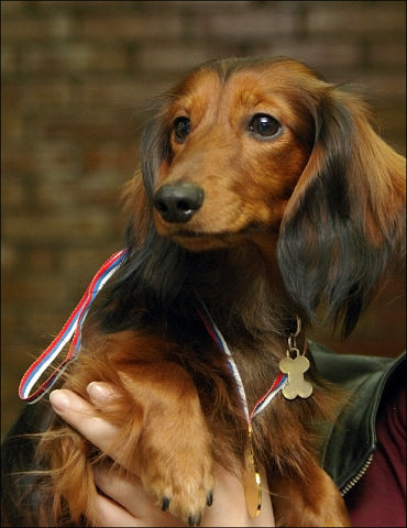 �����. ���������� �����