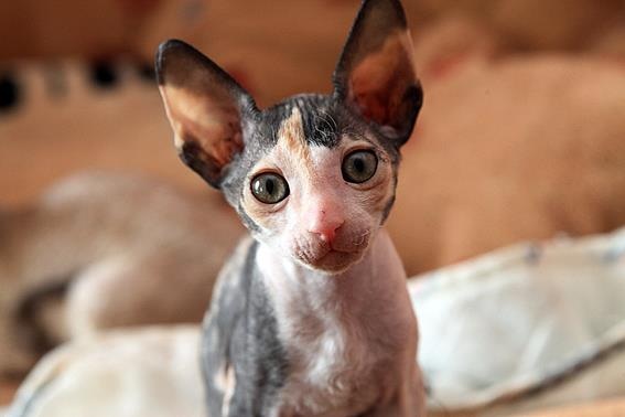 ������-����