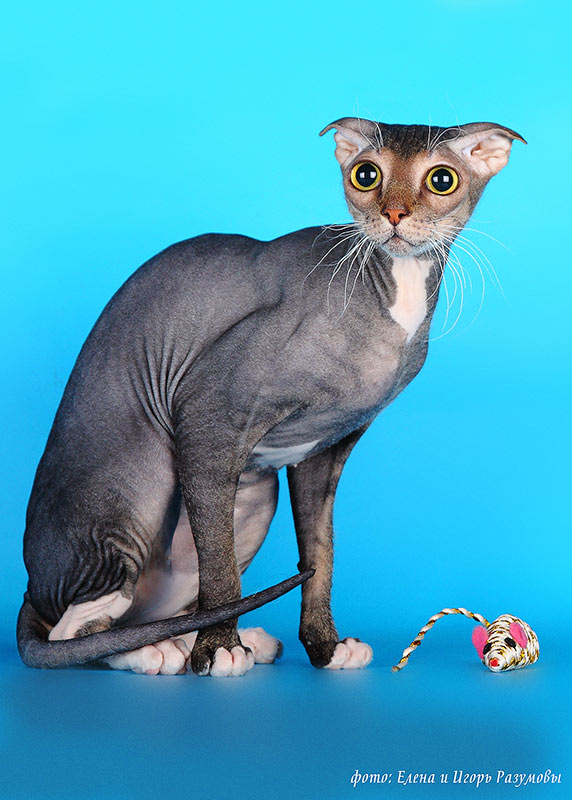 ���������� ������