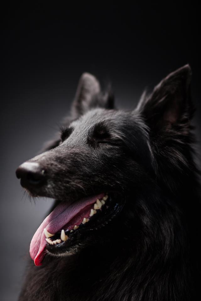 ����������� �������