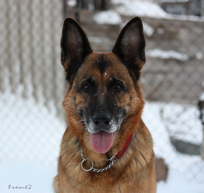 �������� �������. ���������� �����