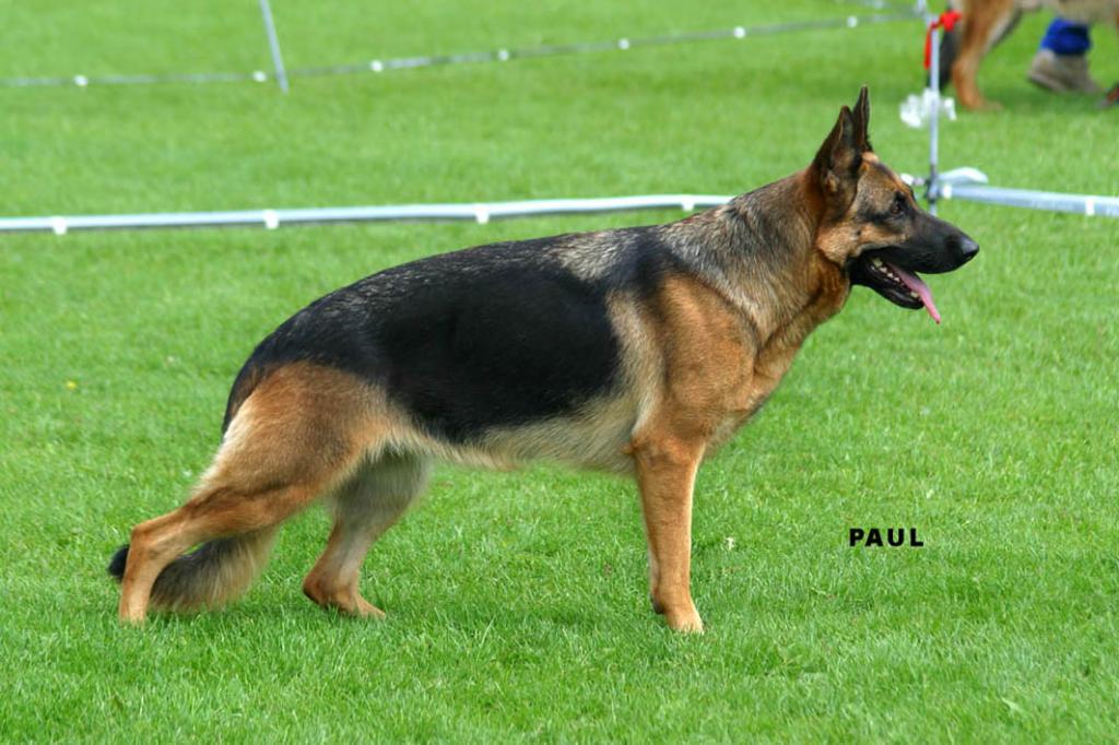 �������� �������. ���������� �����