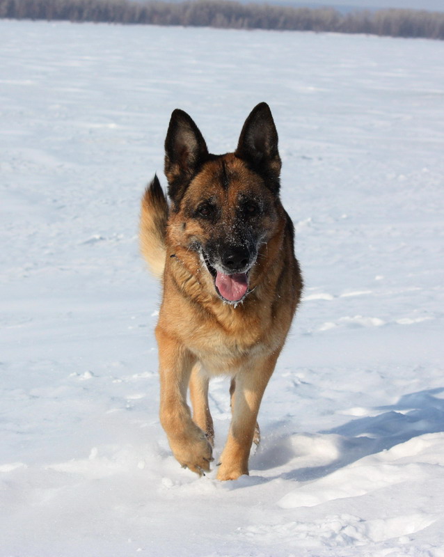 �������� �������. ���������� �����