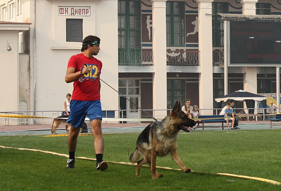 �������� �������. ���������� �����