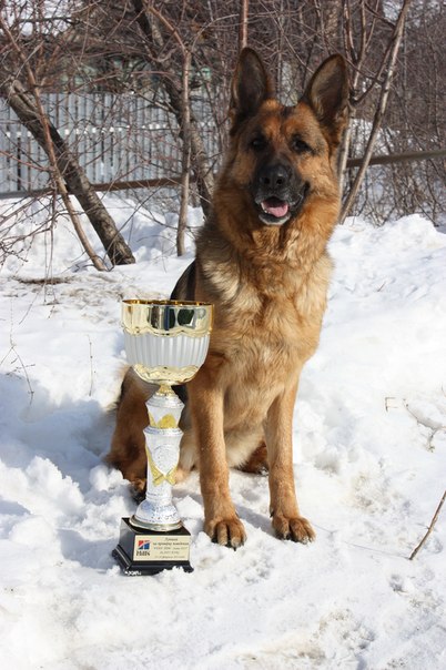 �������� �������. ���������� �����