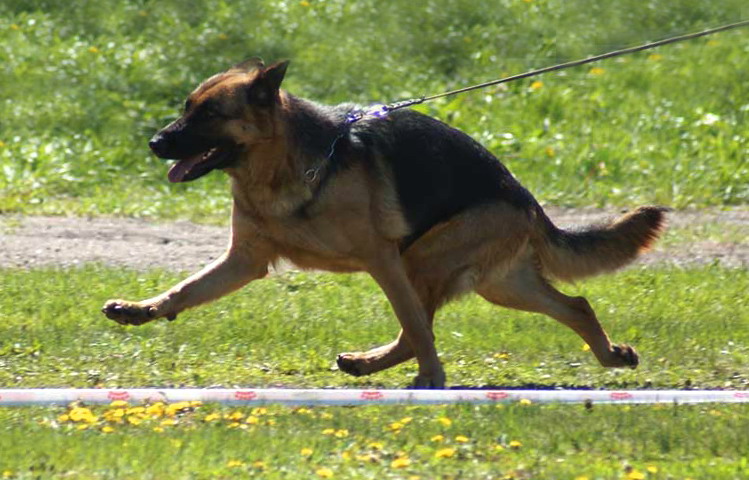 �������� �������. ���������� �����