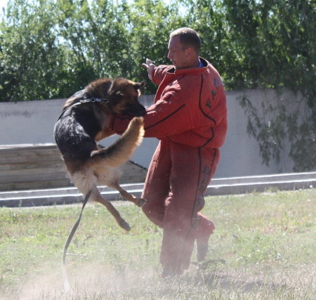 �������� �������