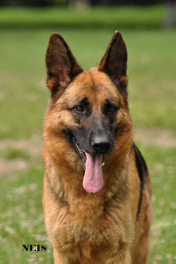 �������� �������. ���������� �����