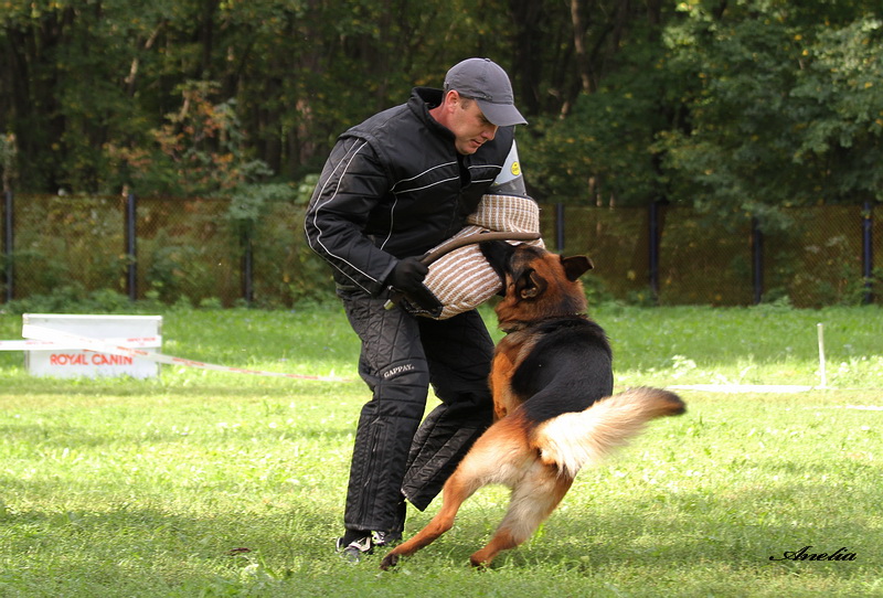 �������� �������