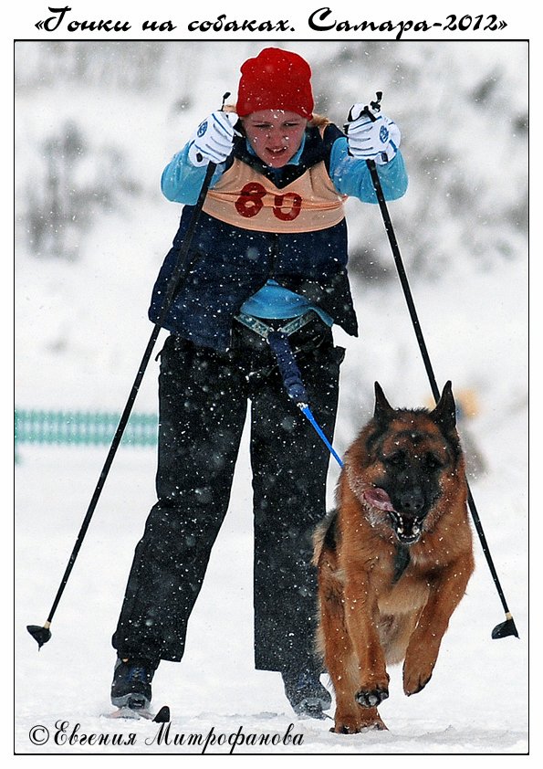 �������� �������. ���������� �����