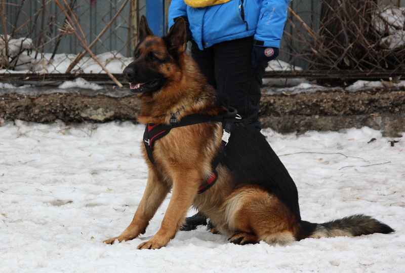 �������� �������. ���������� �����