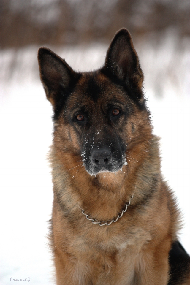 �������� �������. ���������� �����