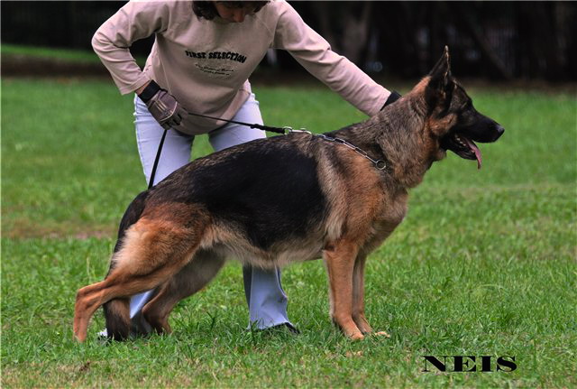 �������� �������. ���������� �����