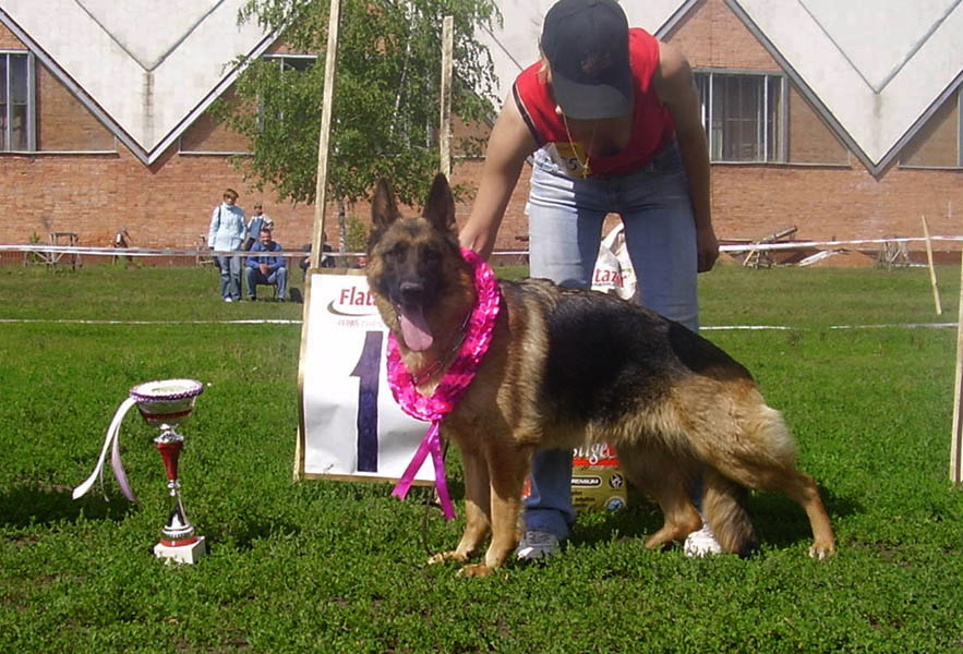 �������� �������. ���������� �����