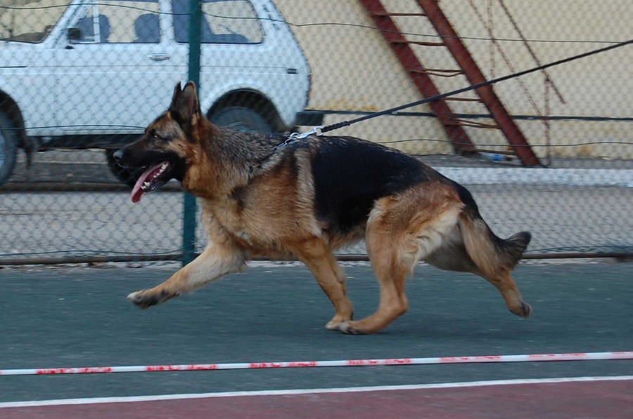 �������� �������. ���������� �����