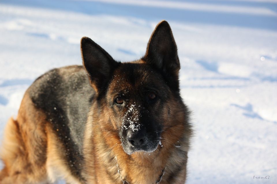 �������� �������. ���������� �����