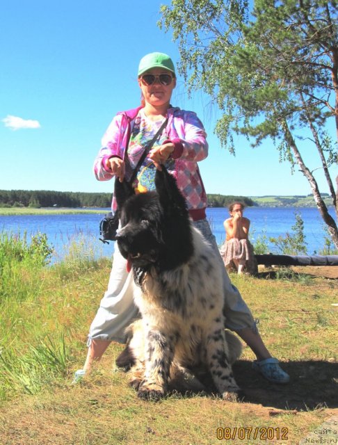 ������������. ���������� �����