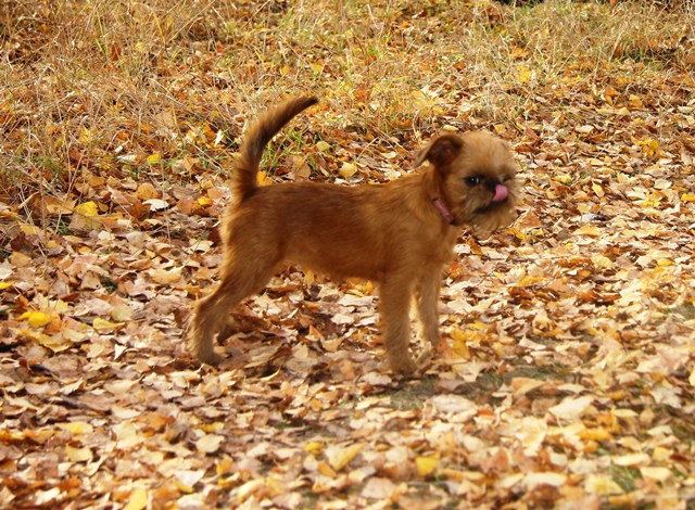 ������������ �������