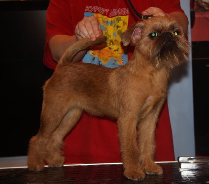 ������������ �������