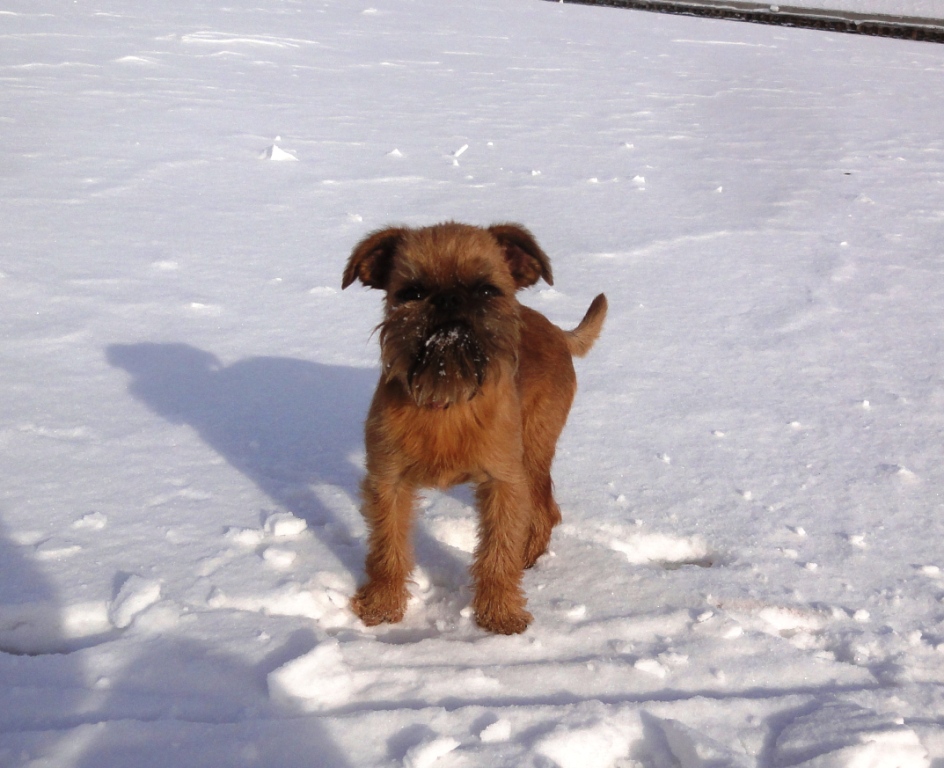 ������������ �������. ���������� �����