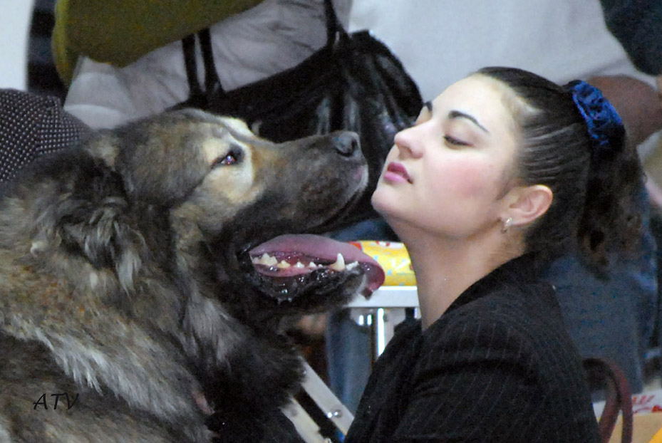 ���������� �������. ���������� �����