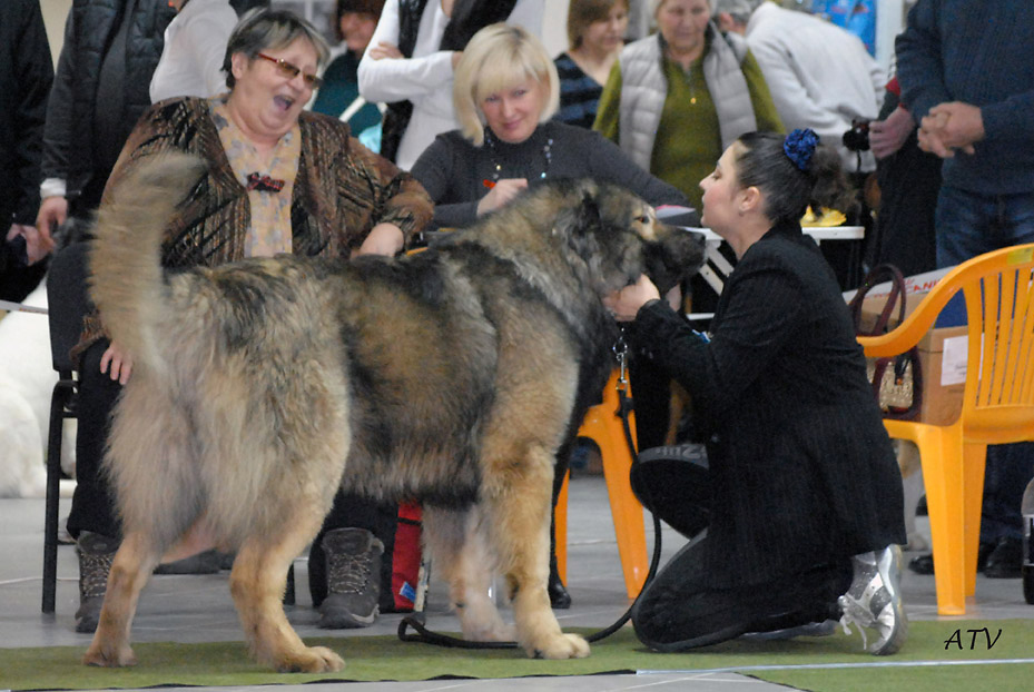 ���������� �������. ���������� �����