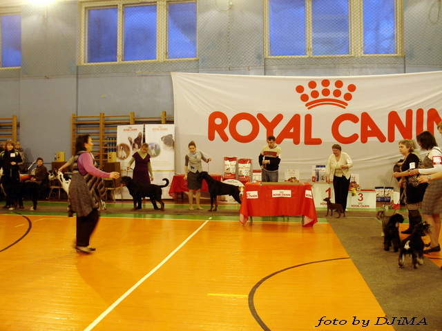 ��������. ���������� �����