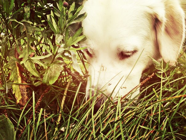 �������� ������. ���������� �����