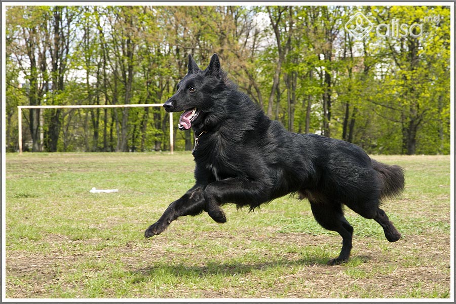 ����������� �������. ���������� �����