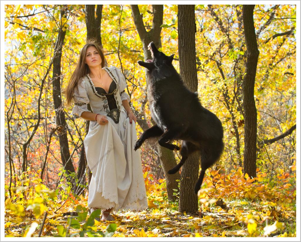 ����������� �������. ���������� �����