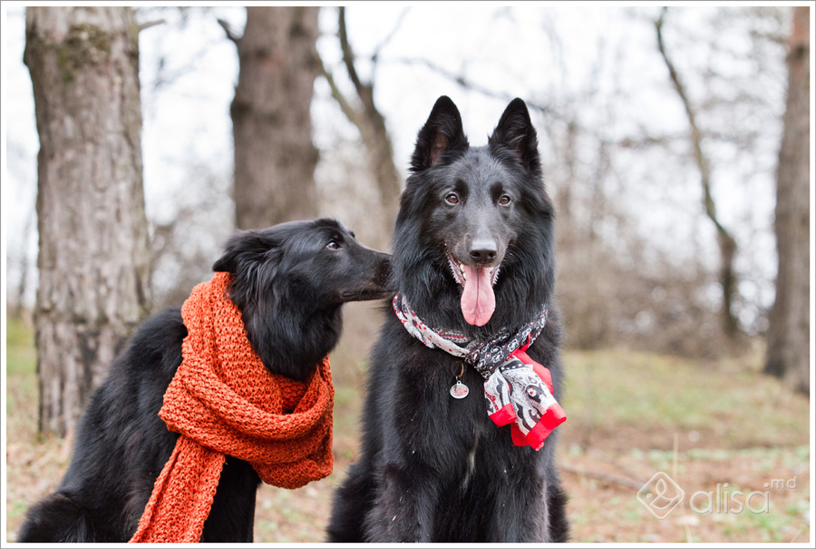 ����������� �������