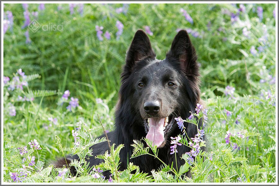 ����������� �������. ���������� �����