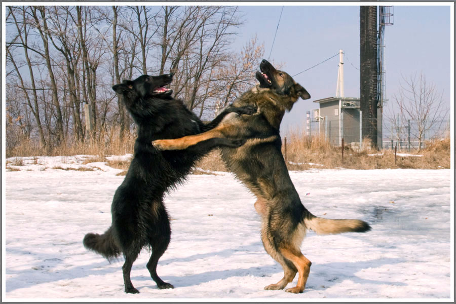 ����������� �������. ���������� �����