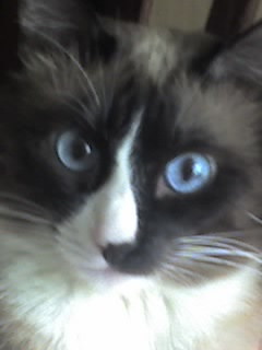 ������������� �����