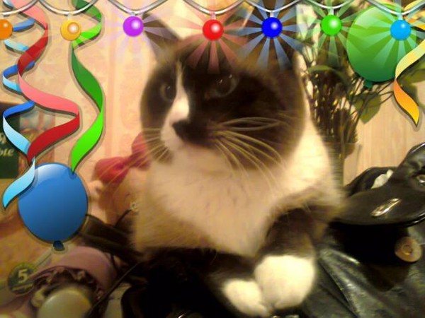 ������������� �����