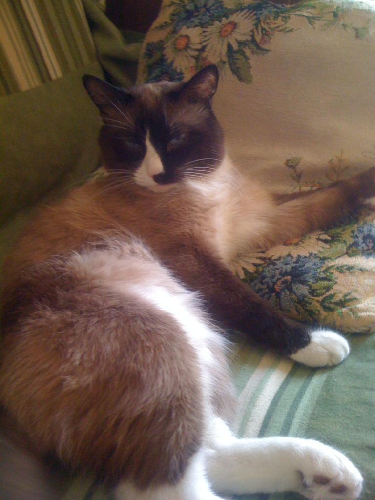 ������������� �����