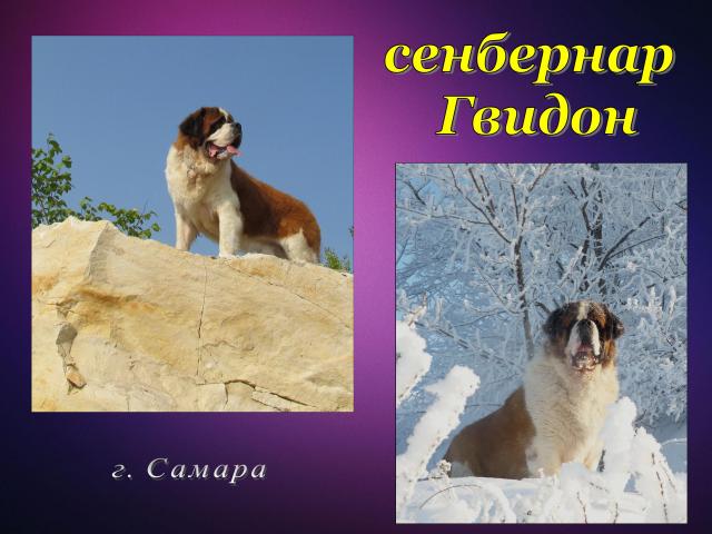 ���������. ���������� �����